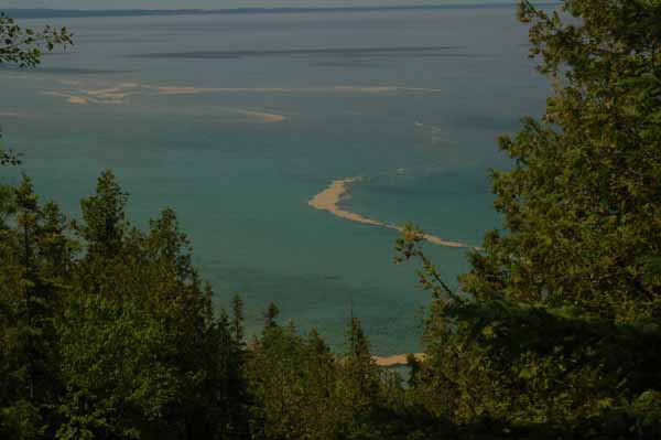 Lake Michigan through the trees